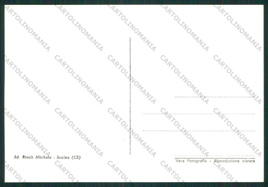 Cosenza Scalea Foto FG cartolina ZK1666 – retro