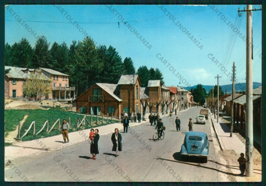 Cosenza Spezzano Camigliatello Silano Auto Foto FG cartolina ZK1682 – fronte