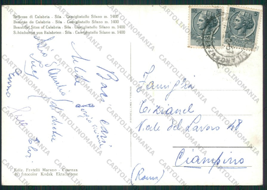 Cosenza Spezzano Camigliatello Silano Auto Foto FG cartolina ZK1682 – retro
