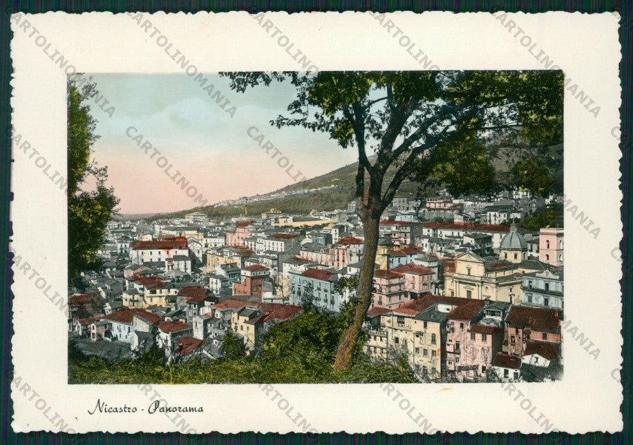 Catanzaro Nicastro Foto FG cartolina ZK1711 – fronte