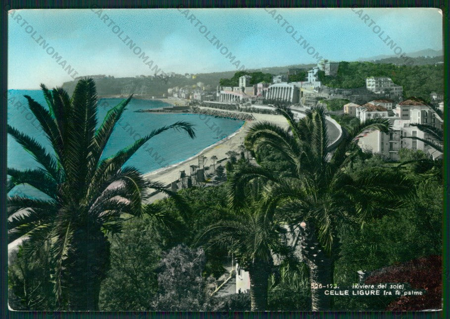 Savona Celle Ligure Foto FG cartolina ZK1753 – fronte