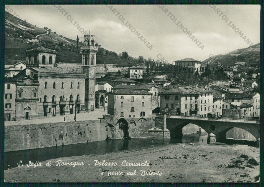 Forlì Cesena Santa Sofia di Romagna Palazzo comunale Foto FG cartolina ZK1782 – fronte