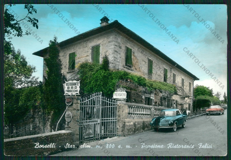 Firenze Pelago Borselli Foto FG cartolina ZK1793 – fronte