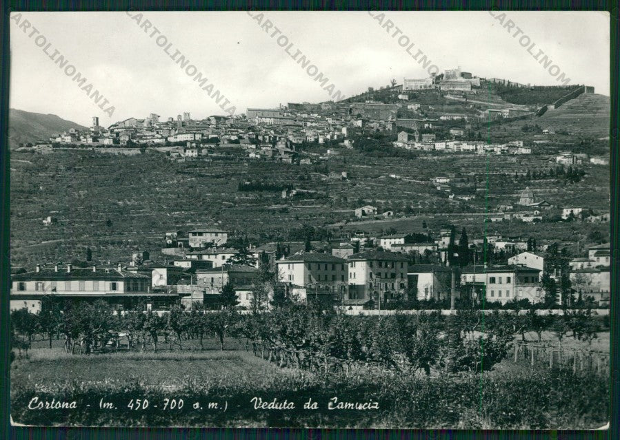 Arezzo Cortona Foto FG cartolina ZK1795 – fronte