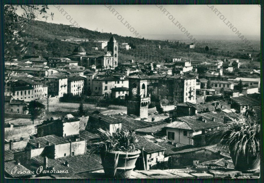 Pistoia Pescia STRAPPINO Foto FG cartolina ZK1799 – fronte