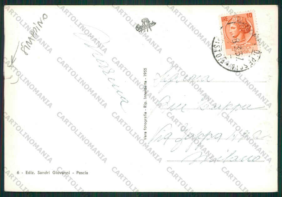 Pistoia Pescia STRAPPINO Foto FG cartolina ZK1799 – retro