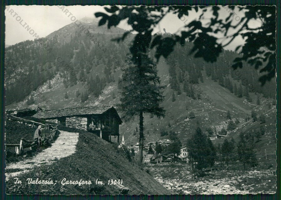 Vercelli Carcoforo Foto FG cartolina ZK1810 – fronte