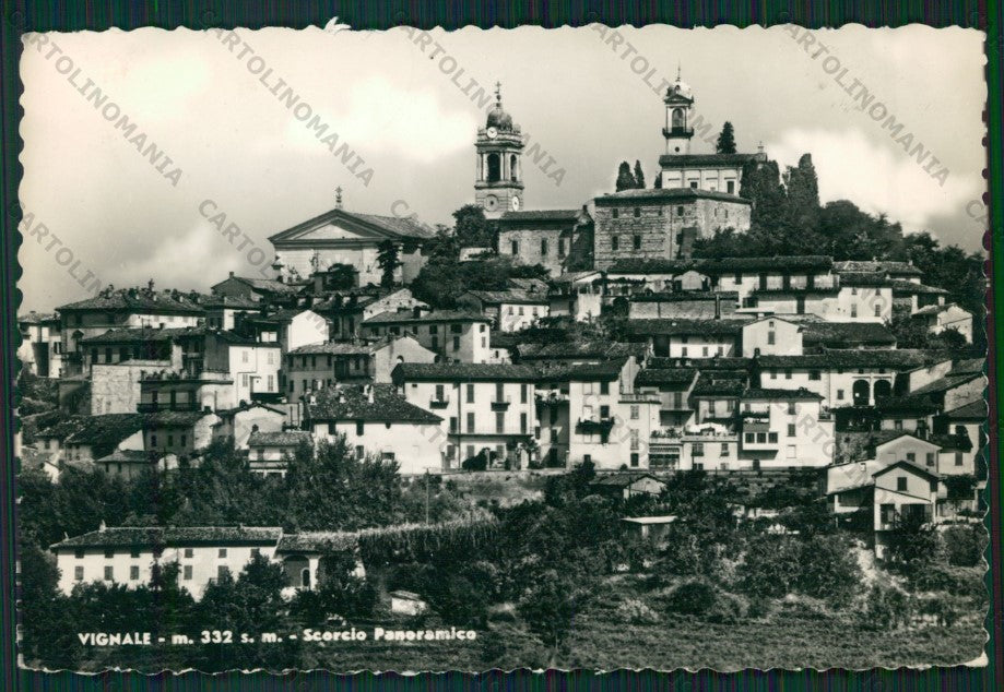 Alessandria Vignale Foto FG cartolina ZK1814 – fronte
