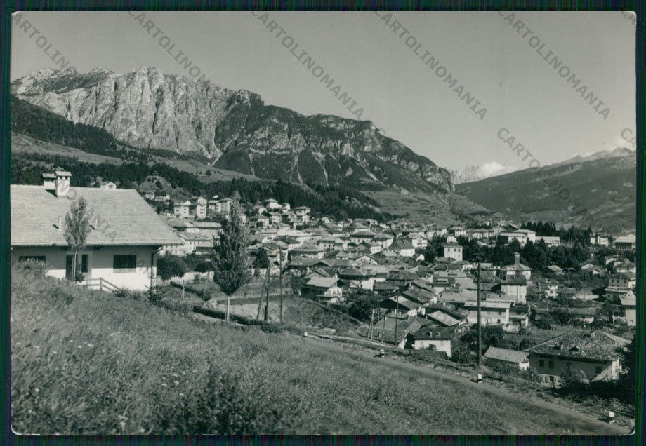 Trento Cavalese Foto FG cartolina ZK1872 – fronte