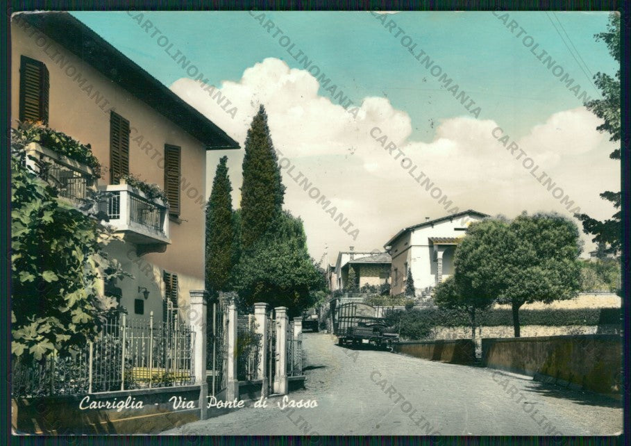 Arezzo Cavriglia PIEGHINA Foto FG cartolina ZK1899 – fronte