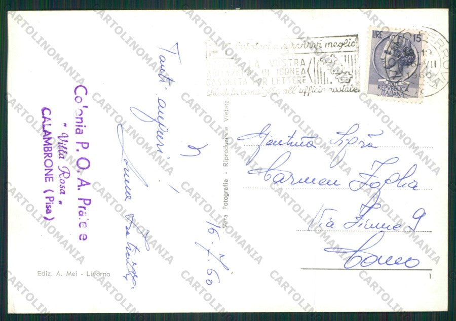 Pisa Calambrone Colonie Foto FG cartolina ZK1908 – retro