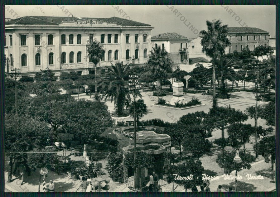 Campobasso Termoli Scuola Foto FG cartolina ZK1924 – fronte