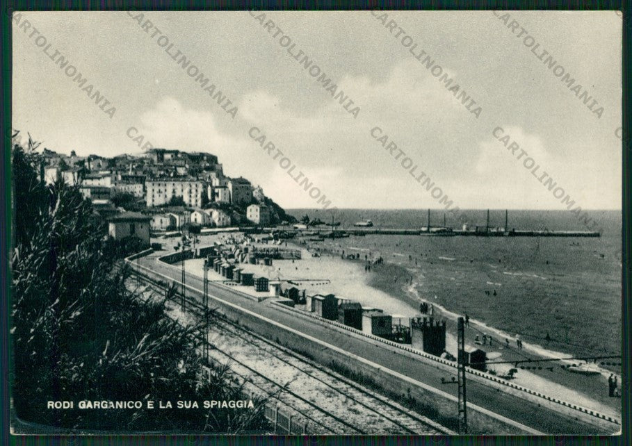 Foggia Rodi Garganico Foto FG cartolina ZK1945 – fronte