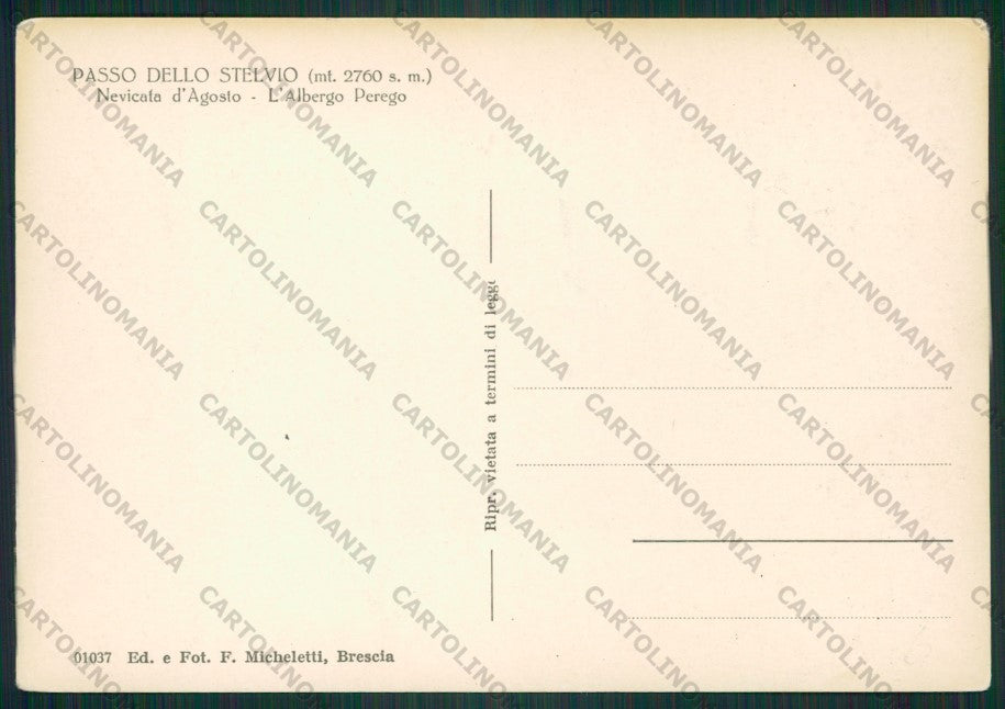 Bolzano Passo Dello Stelvio Foto FG cartolina ZK2026 – retro