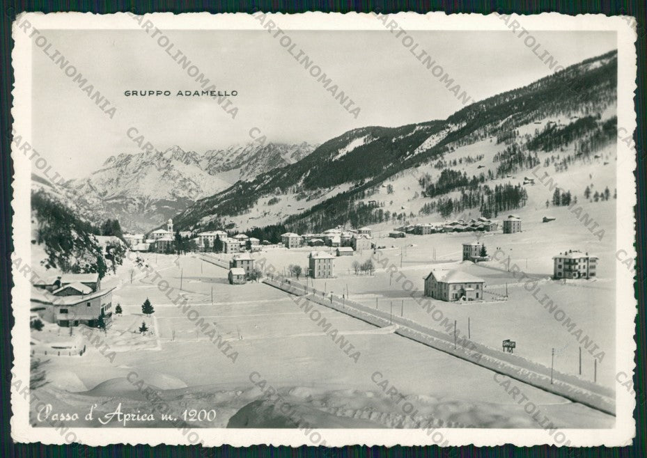 Sondrio Aprica Foto FG cartolina ZK2036 – fronte