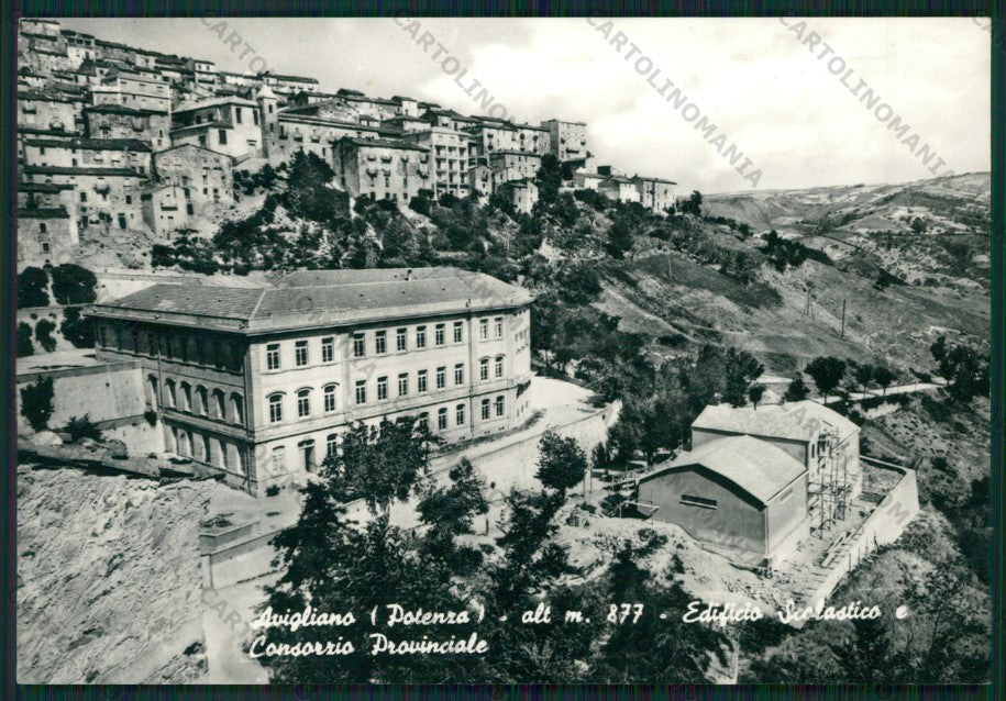 Potenza Avigliano Consorzio Provinciale Foto FG cartolina ZK2050 – fronte