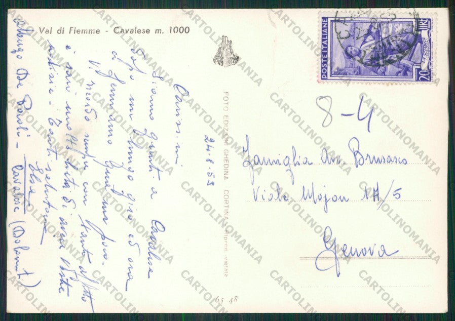 Trento Cavalese Auto STRAPPO Foto FG cartolina ZK2056 – retro