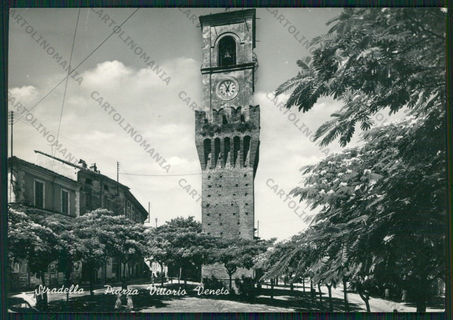 Pavia Stradella Foto FG cartolina ZK2077 – fronte