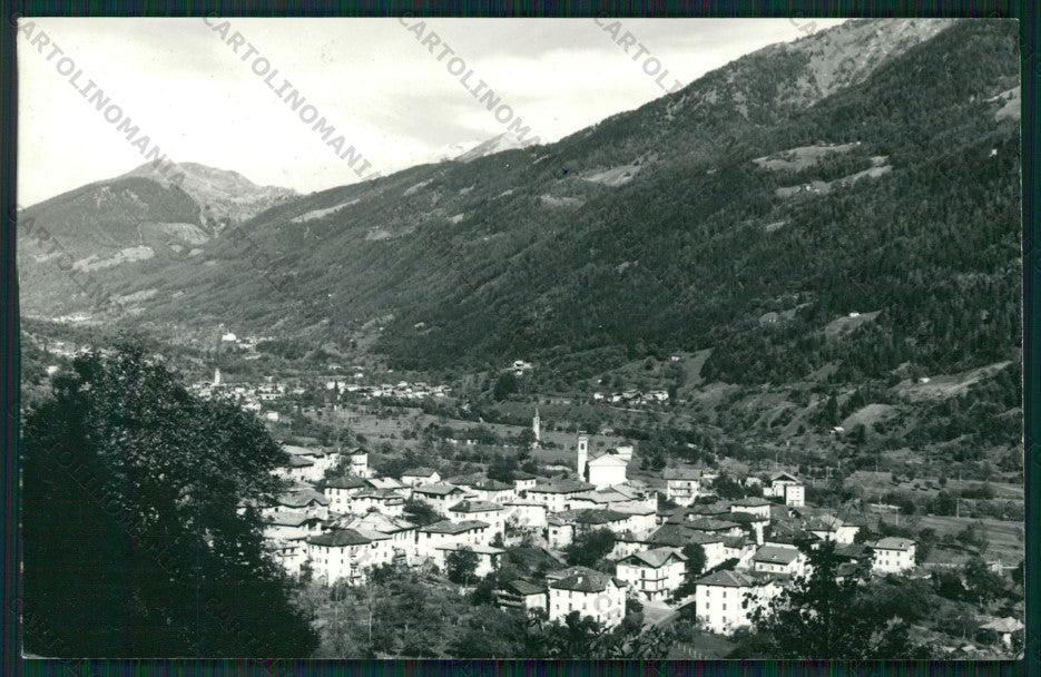 Trento Pelugo Foto FG cartolina ZK2092 – fronte