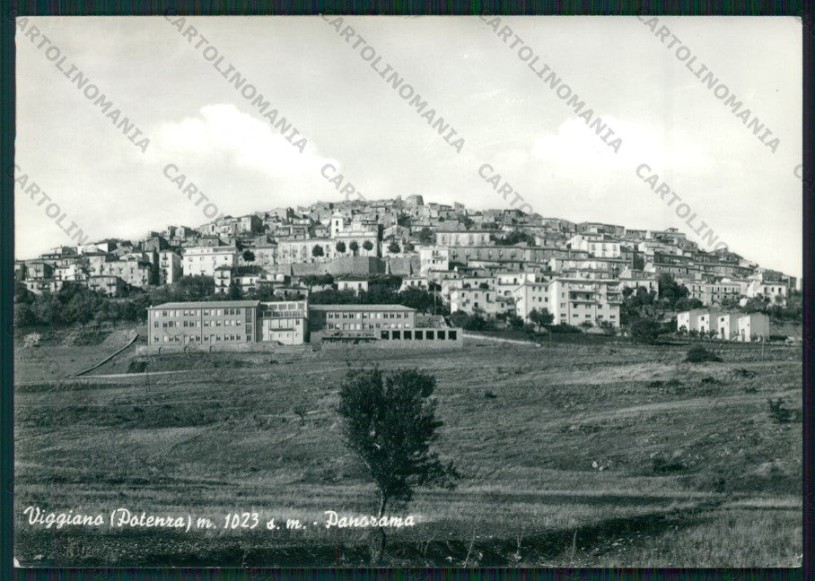 Potenza Viggiano Foto FG cartolina ZK2183 – fronte