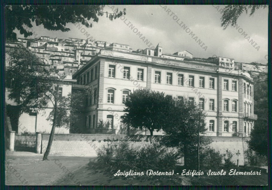 Potenza Avigliano Scuole Foto FG cartolina ZK2187 – fronte