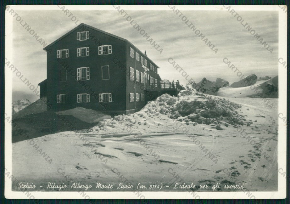 Bolzano Stelvio Rifugio Monte Livrio PIEGHINE Foto FG cartolina ZK2205 – fronte