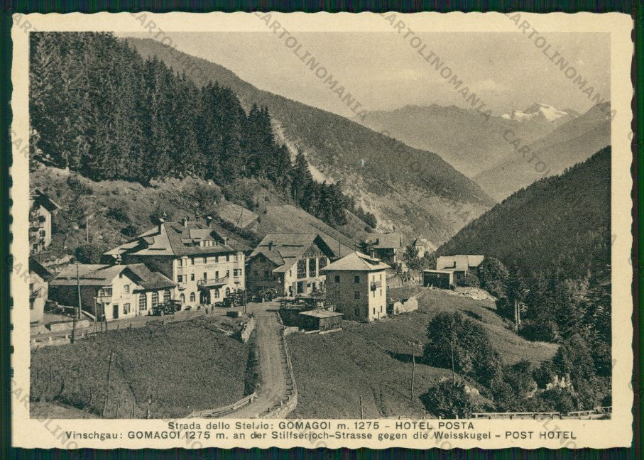 Bolzano Gomagoi Stelvio FG cartolina ZK2368 – fronte