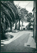 Imperia Diano Marina FG cartolina ZK2380 – fronte
