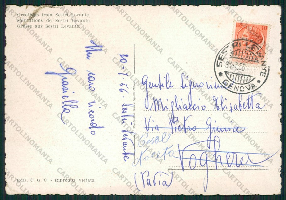 Genova Sestri Levante Saluti da PIEGHINA FG cartolina ZK2391 – retro
