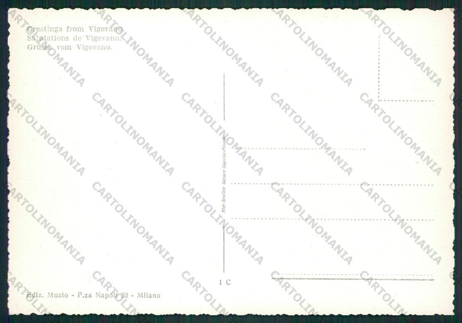Pavia Vigevano Saluti da FG cartolina ZK2393 – retro