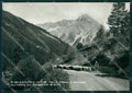 Torino Cesana Torinese Gregge Foto FG cartolina ZK2506 – fronte