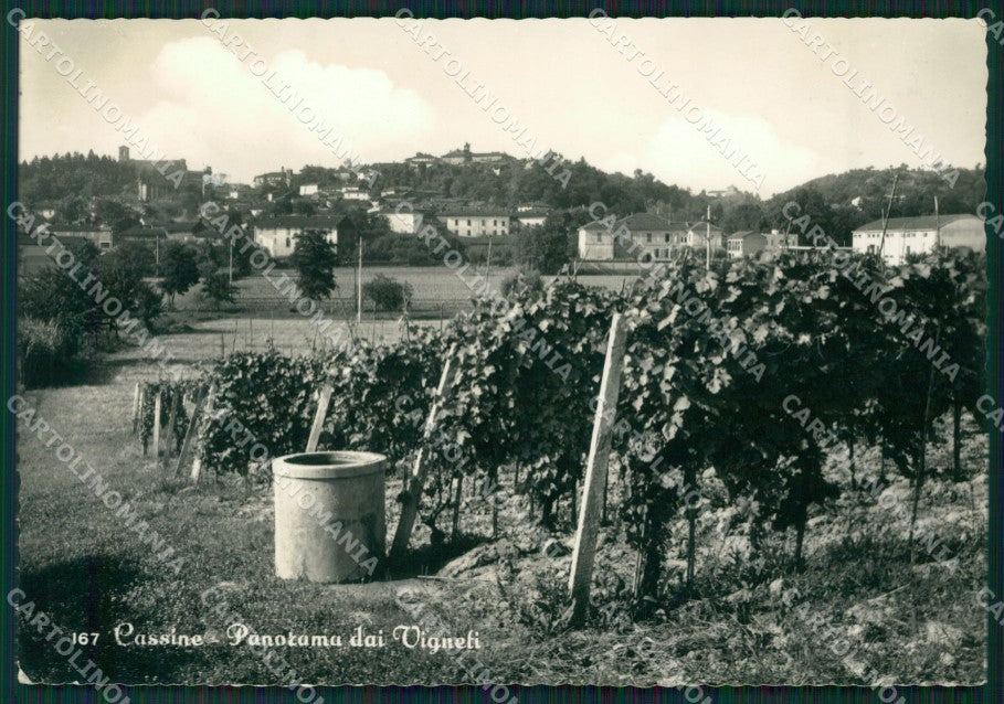 Alessandria Cassine Vigneti Foto FG cartolina ZK2587 – fronte