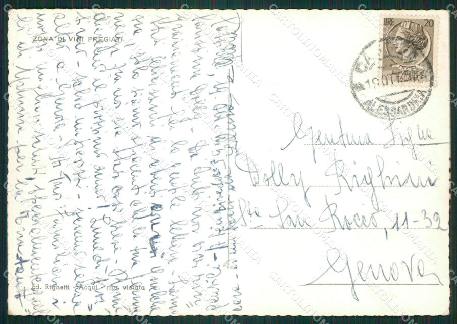 Alessandria Cassine Vigneti Foto FG cartolina ZK2587 – retro