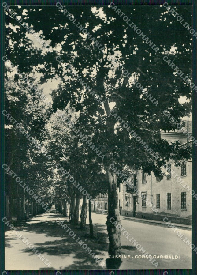 Alessandria Cassine Foto FG cartolina ZK2588 – fronte