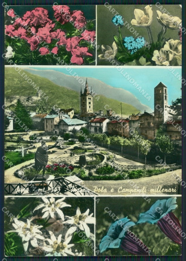 Torino Susa Foto FG cartolina ZK2592 – fronte