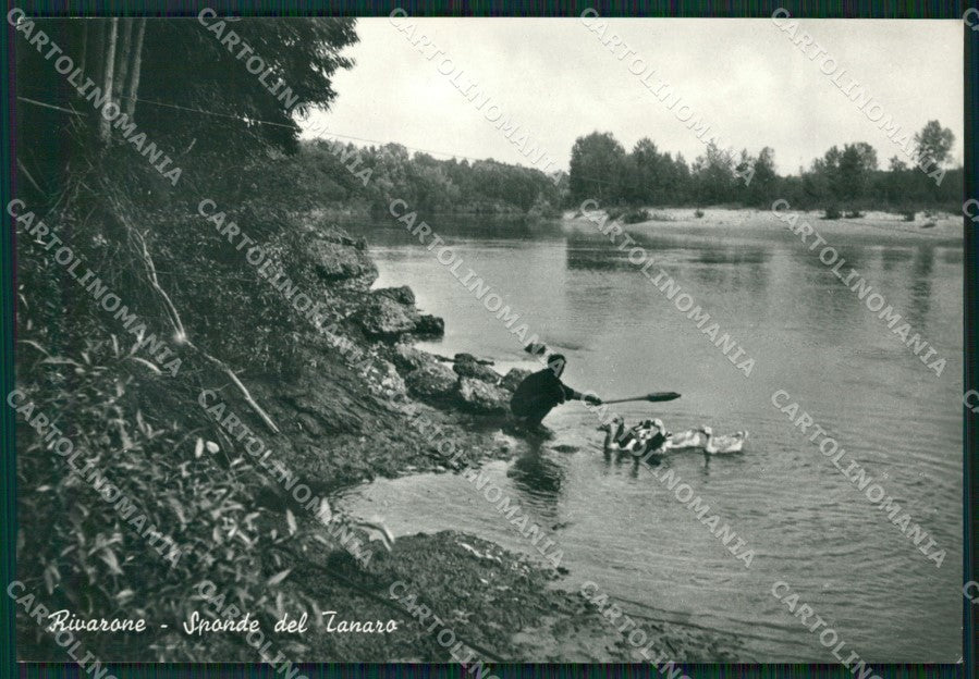 Alessandria Rivarone Foto FG cartolina ZK2610 – fronte