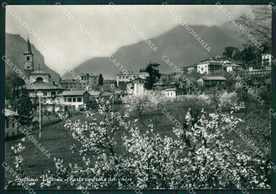 Torino Settimo Vittone Foto FG cartolina ZK2612 – fronte