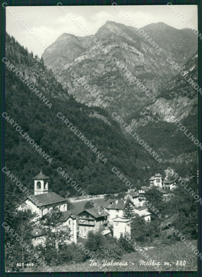 Vercelli Mollia Foto FG cartolina ZK2618 – fronte