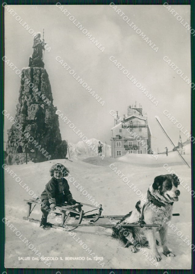 Aosta La Thuile Cane Slitta Foto FG cartolina ZK2663 – fronte