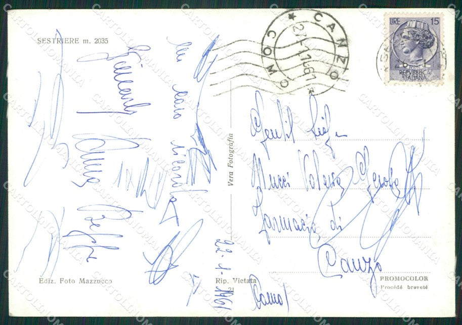 Torino Sestriere Cane San Bernardo Foto FG cartolina ZK2665 – retro