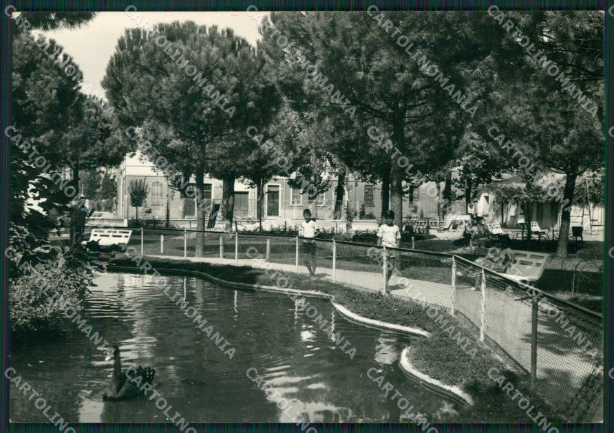 Ravenna Faenza Zoo Foto FG cartolina ZK2683 – fronte