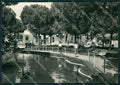 Ravenna Faenza Zoo Foto FG cartolina ZK2683 – fronte