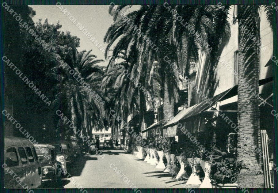 Savona Alassio Foto FG cartolina ZK2859 – fronte