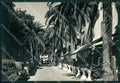 Savona Alassio Foto FG cartolina ZK2859 – fronte