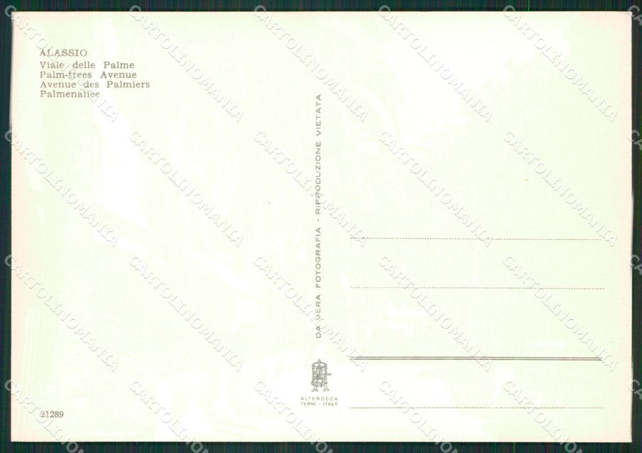Savona Alassio Foto FG cartolina ZK2861 – retro