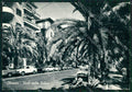 Genova Chiavari Foto FG cartolina ZK2866 – fronte