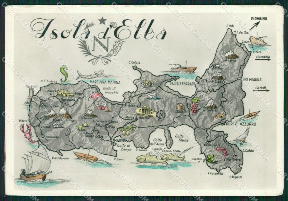 Livorno Isola d'Elba Foto FG cartolina ZK2908 – fronte