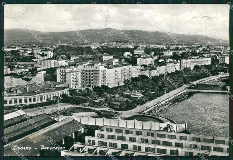 Livorno Città Foto FG cartolina ZK2909 – fronte