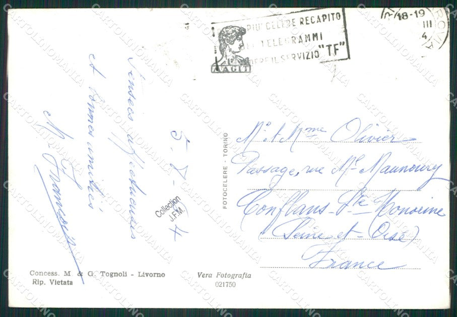 Livorno Città Foto FG cartolina ZK2909 – retro