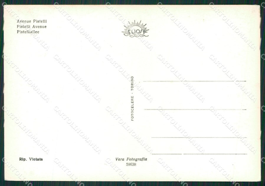 Lucca Camaiore Lido di Auto Vespa Foto FG cartolina ZK2920 – retro